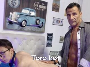 Toro_hot
