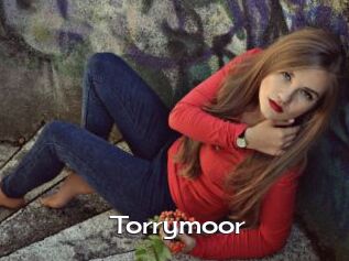 Torrymoor