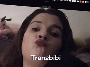 Transbibi