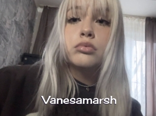 Vanesamarsh