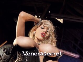 venerasecret Click here to exit