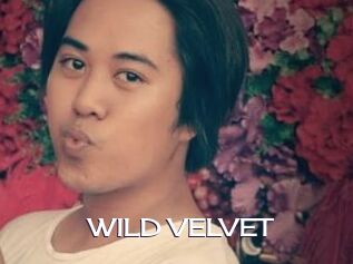 WILD_VELVET