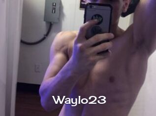 Waylo23
