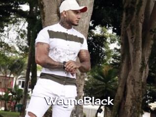 WayneBlack Click here to exit