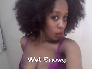 Wet_Snowy