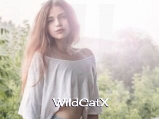 Wild_CatX