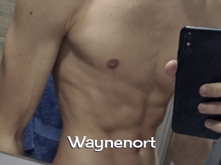 Waynenort
