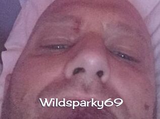 wildsparky69 Click here to exit
