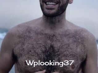 Wplooking37