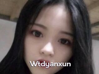 Wtdyanxun