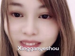 Xingganyeshou
