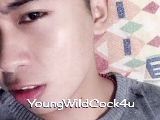 YoungWildCock4u
