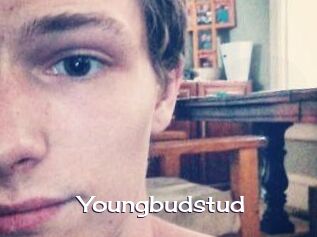 Youngbudstud