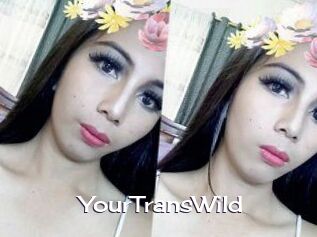 YourTransWild