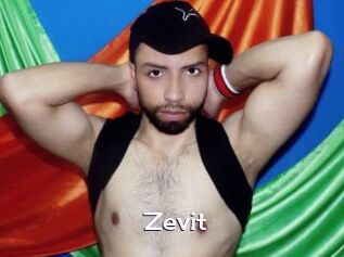 Zevit